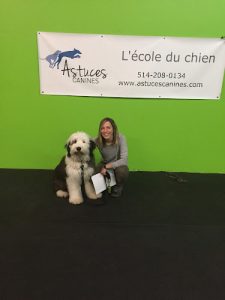 Le Centre Canin Astuces Canines