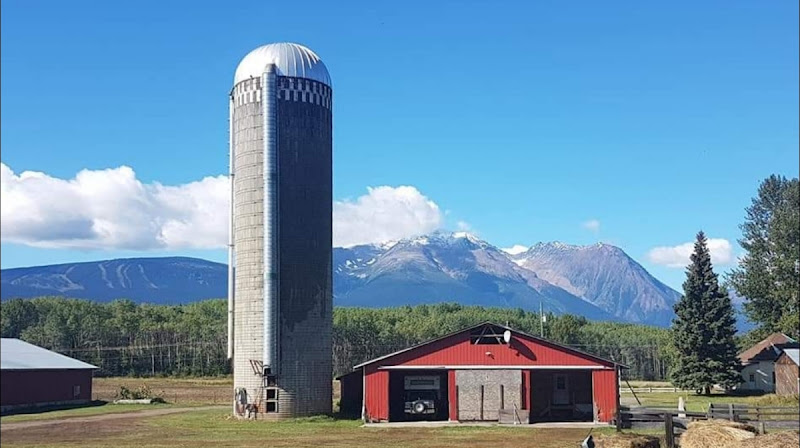 Happy Tails Critter Care