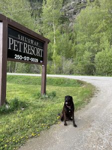 Shuswap Pet Resort