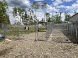 Critter’s Corner Dog Boarding