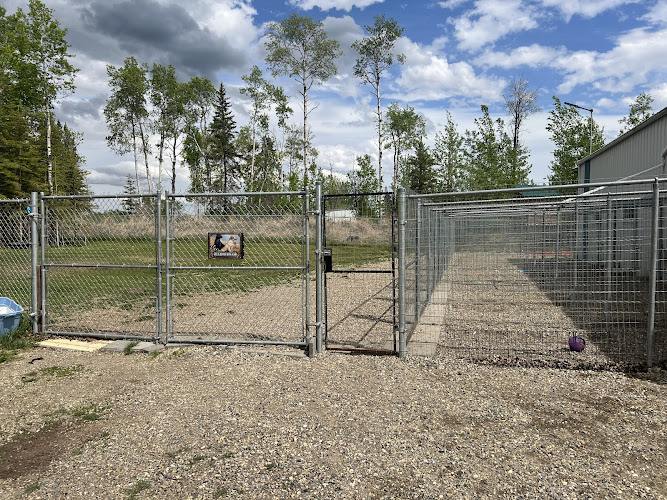 Critter’s Corner Dog Boarding