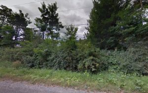 Linda’s Cat Boarding