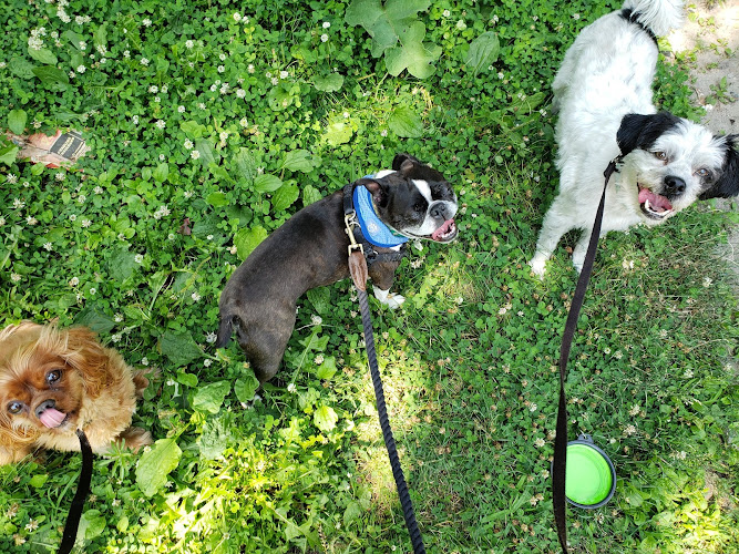 Walk of the Town
