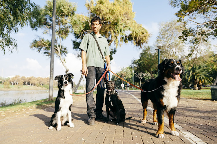 Paw Parade Dog Walking