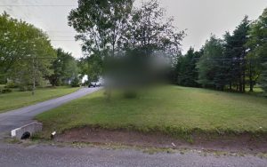 Find Your Balance Dog Training