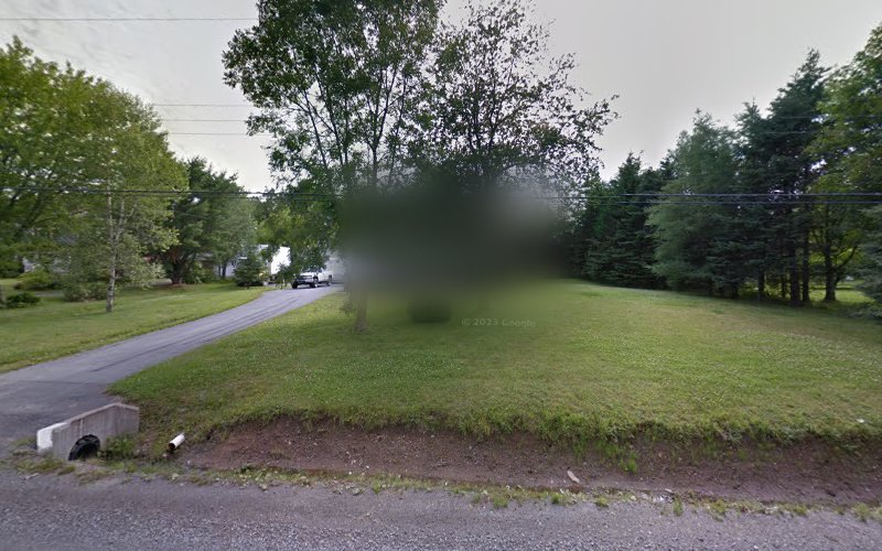 Find Your Balance Dog Training