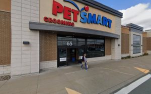 PetSmart Dog Training