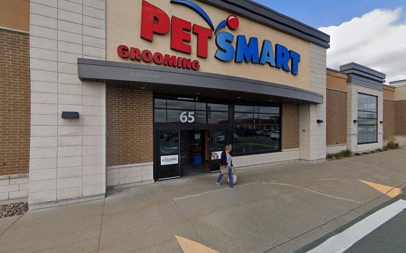 PetSmart Dog Training