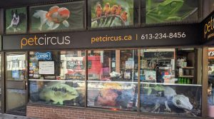 Pet Circus