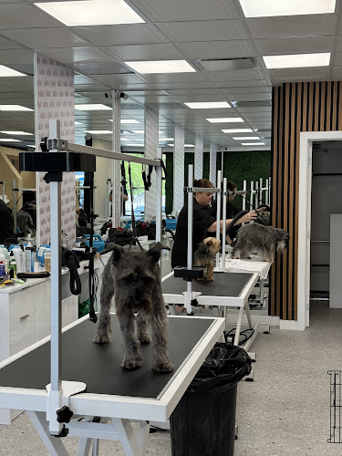 Furrora – Spa & Toilettage