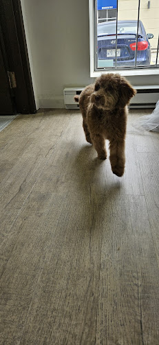 Salon Pawcci