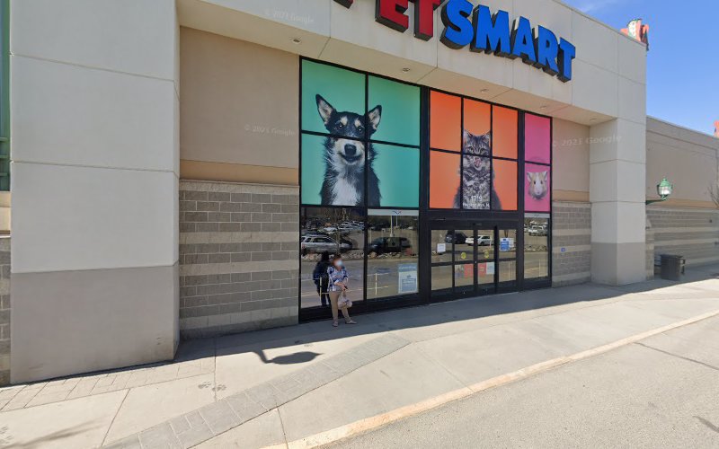 PetSmart Dog Training