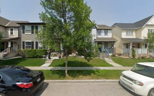 Care 4 Creatures Cat Sitting