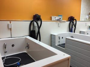 Canine Corral pet Grooming