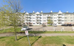 Light House Landing Pet Services