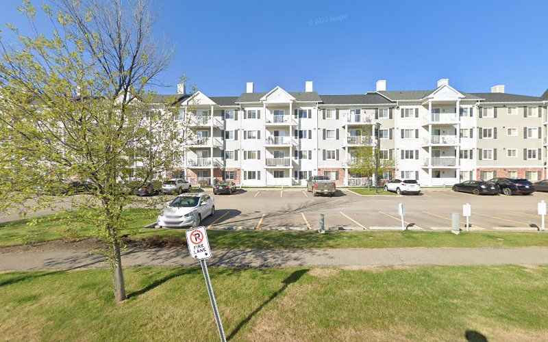 Light House Landing Pet Services