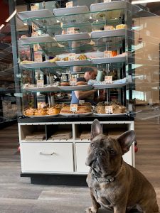 Global Pet Foods Sage Hill Quarter