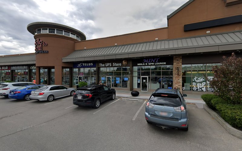 Mobile Dog Grooming Calgary