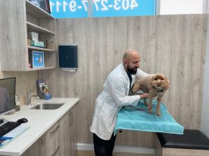 Panorama Hills Animal Hospital