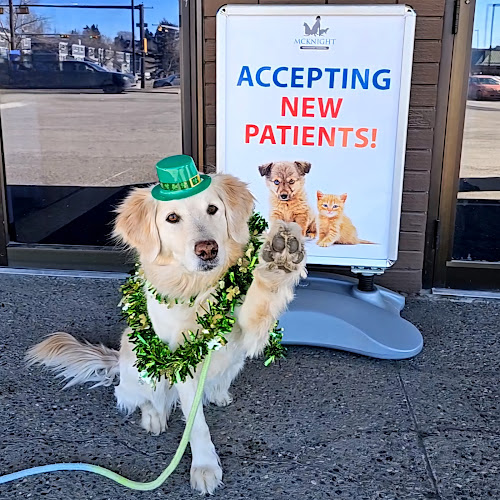 McKnight Veterinary Hospital