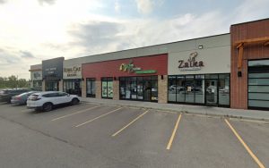 Studs & Divas Pet Salon