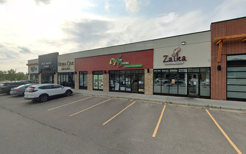 Studs & Divas Pet Salon