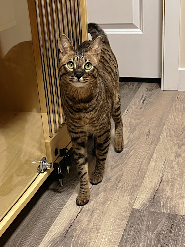 Delight Pet Warehouse Inc.