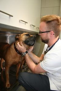 Hôpital Vétérinaire Victoria Greenfield Park – Vet et Nous