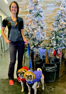 Veterinary Hospital Passionimo Journet