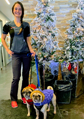 Veterinary Hospital Passionimo Journet