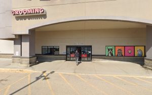 PetSmart Dog Training