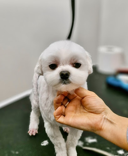 Woof’s Choice Pet Grooming