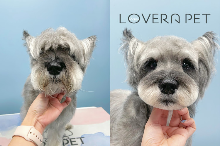 Lovera Pet Salon&Boutique