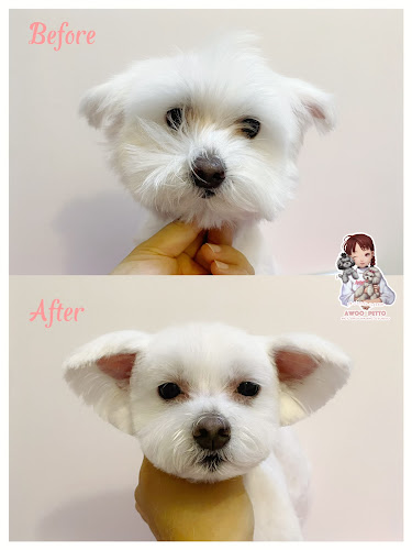 AWOO PETTO Pet Grooming Studio