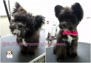 Fluff That – Grooming by Aleesia