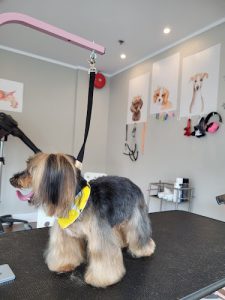 Pet’s Heaven Grooming