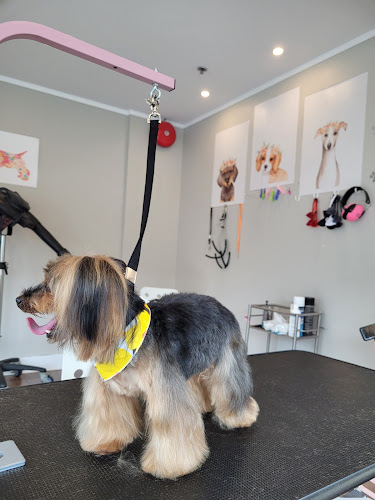 Pet’s Heaven Grooming