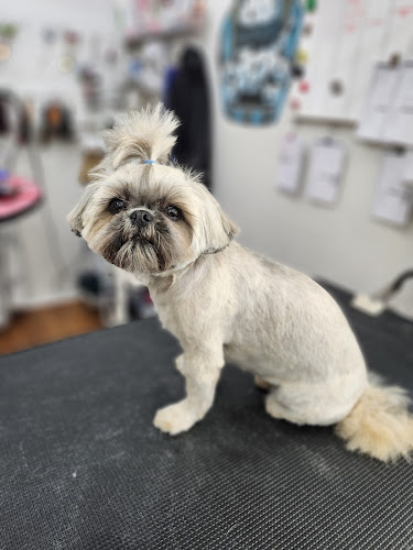 Doggie Dorm & Grooming