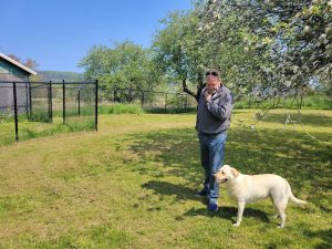 Rock & Stroll Dog Camp