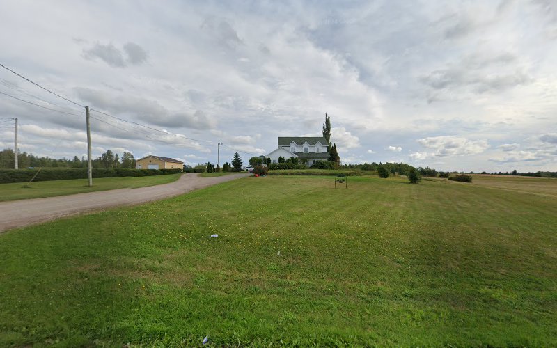 Khoof-Shaw Dog Training & Svc