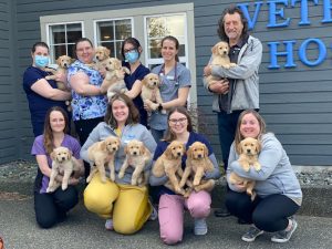 Campbell River Veterinary Hospital