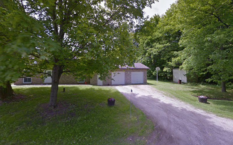 Paw-Fect Pet Sitting By Liv