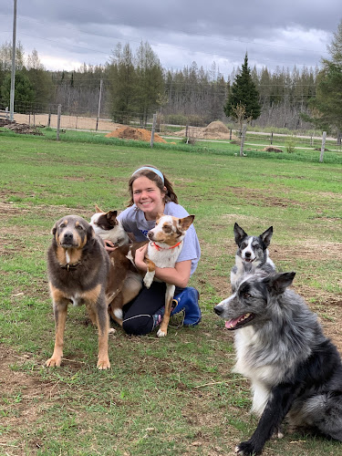 Paws at Killara Station.