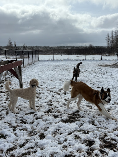 Sackville Pet Resort