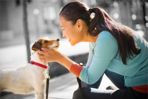 VCA Canada Shawnessy South Animal Hospital