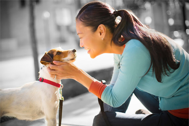 VCA Canada Shawnessy South Animal Hospital