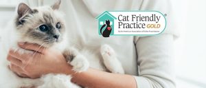 Killarney Cat Hospital