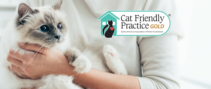 Killarney Cat Hospital