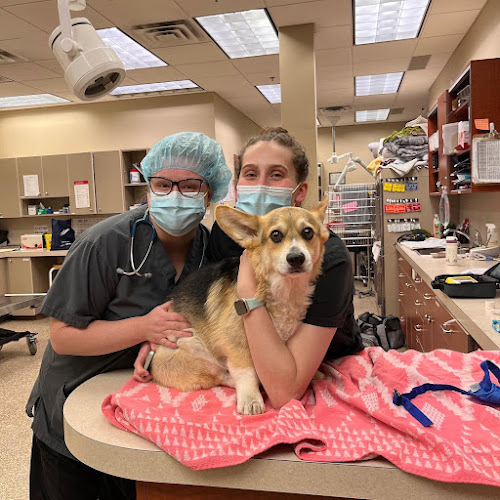 Aspen Animal Hospital