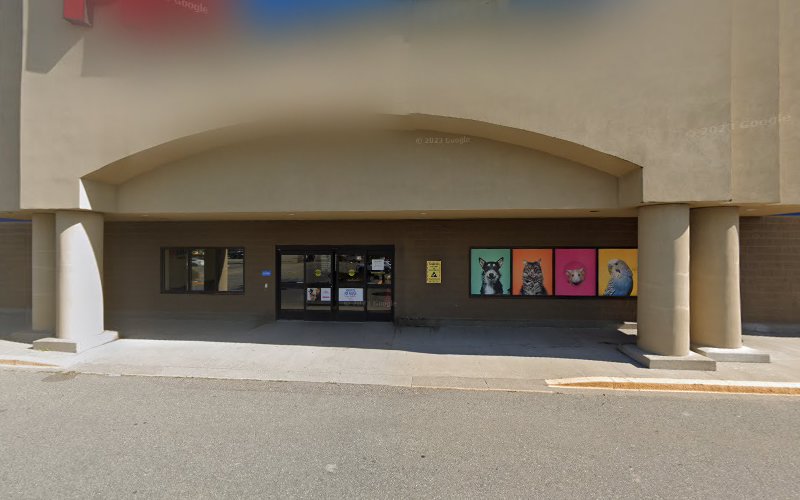 PetSmart Dog Training